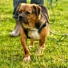 Oliver - einfach nur zum lieb haben