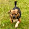 Oliver - einfach nur zum lieb haben