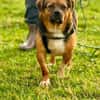 Oliver - einfach nur zum lieb haben