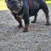 Zuhause gesucht