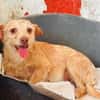 Ines sucht ein Zuhause