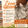 Léon