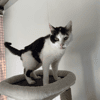 MINETTE
