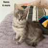 NAOS