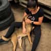 Pepe (Prometeusz)-Sensibler Hund sucht Menschen mit Geduld u