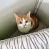 MON FILS