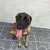 HYROX MALINOIS
