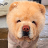 Winnie