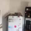 Artie ~ 1 Jahr sucht Zuhause mit Ruhe und Geduld