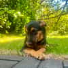 MAIKA  In Bochum, sucht ihr eigenes Zuhause
