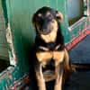 MAIKA  In Bochum, sucht ihr eigenes Zuhause