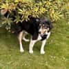 Cody sucht seine Familie
