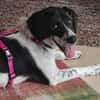 ❤Malika❤ sucht ihre Familie