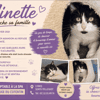 MINETTE