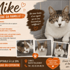 MIKE