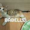 BABELLE