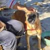 🆘RUBY in 91616 Neusitz wartet auf ♥ 🆘‼