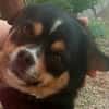 Evita sucht Kuschelpartner