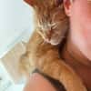 Charly sucht dringend Pflegestelle- oder Endstelle