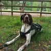 Sportliche Hundemensch(en) gesucht!