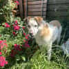 Dorian ist ein vorsichtiger Schatz!