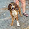 CHARLIE (Martina)