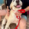 MAU (Martina)