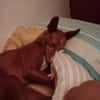 RUBY (Martina)