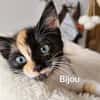 BIJOU   A réserver
