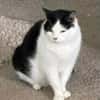 Unser Wunder Agata sucht liebes Home
