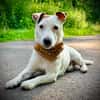 Sportpartner gesucht :)