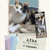 Aida