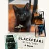 Blackpearl