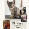 Bellamy