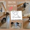 IRON