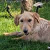 Judy sucht ihre Familie