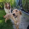 Judy sucht ihre Familie
