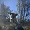 sensible Seele sucht Orientierung