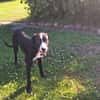 MONTY-LIEBENSWERTER JUNGSPUND
