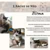 Birma