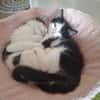 Ignace et Momo