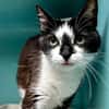 Betty
