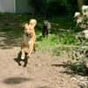 🐶 Besonderer Bono sucht Glück 🐶