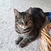 FOXY & ROXY - suchen neue Heimat.....
