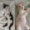 GABY et PANDI