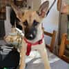 ROCCO (Martina)