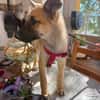 ROCCO (Martina)