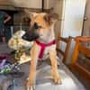 ROCCO (Martina)