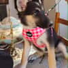 NIX  (Martina)