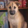 ALDER (Martina)